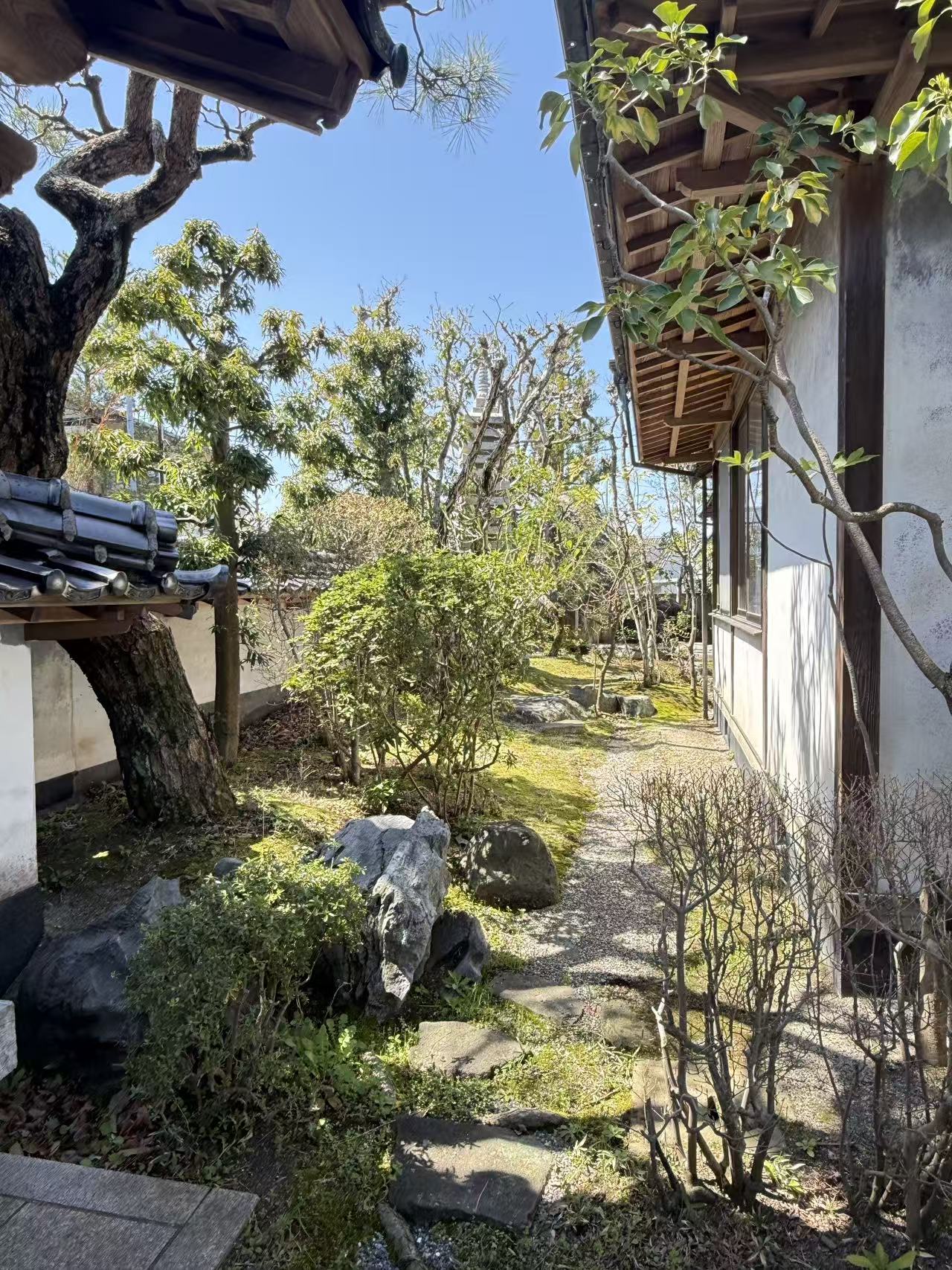 庭園